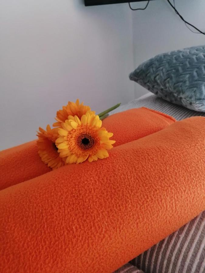 Apartman Radic Trogir Eksteriør billede